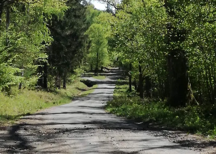 Muehlweg Apartament Steinau an der Straße